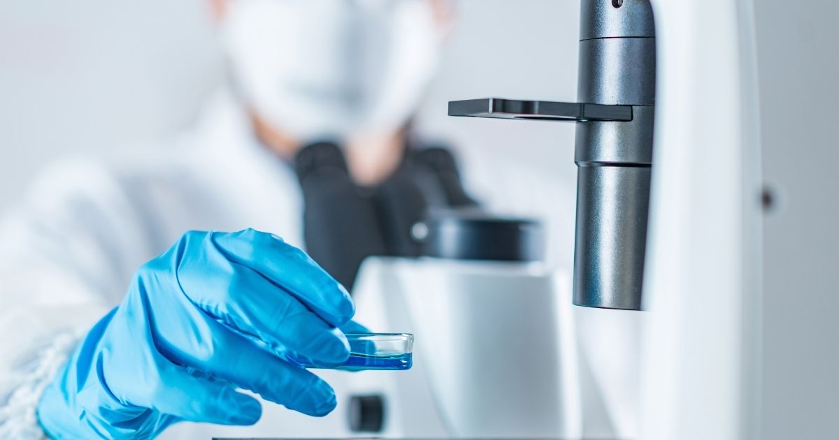 A person wearing blue gloves, placing an item under a microscope.
